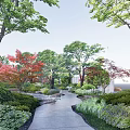 Garden Landscape Design With Various Trees Red Maple Green Shrubs Stone Pathway And Lawn