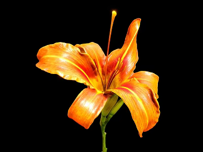 Delicious Orange Striped Dessert With Yellow Topping And Green Stem Accent 3d model