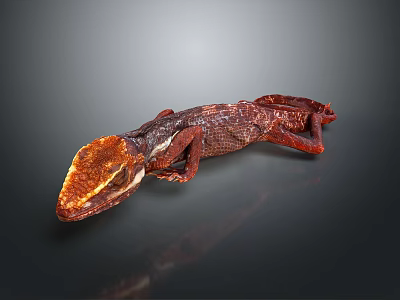 Red Brown Lizard With Distinct Head And Textured Skin On Dark Background 3d model