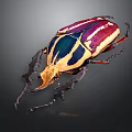 Colorful Beetle With Purple Blue Yellow Red Stripes And Large Horn Against Dark Background