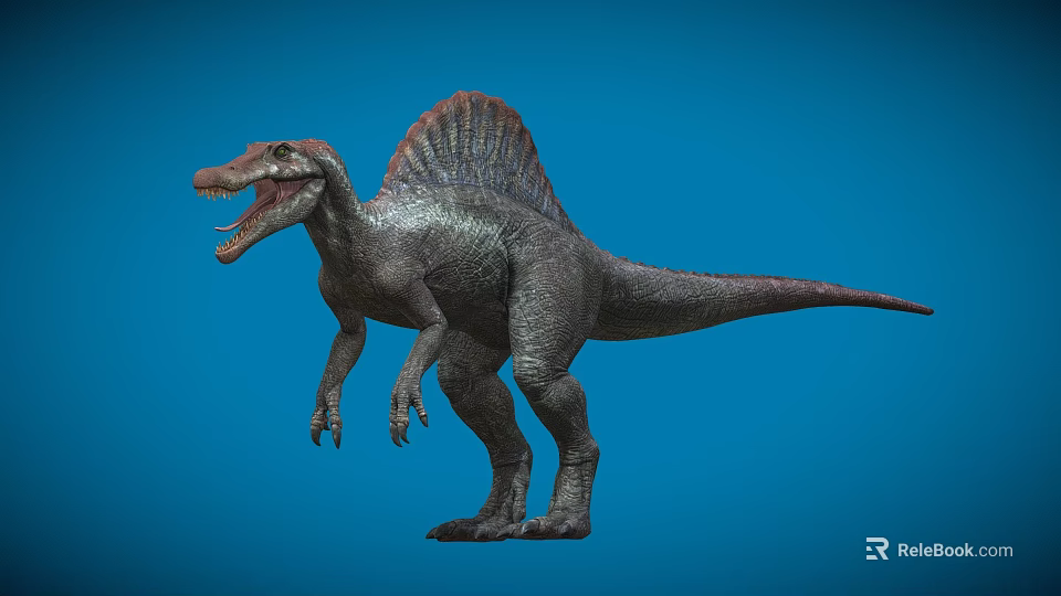 Realistic Spinosaurus 3D Model With Large Sail Back And Open Mouth On Blue Background 3d model 