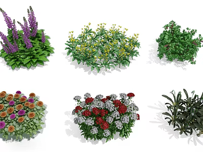Various Colorful Garden Flowers and Plants with Different Leaf and Bloom Types 3d model