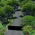 Lush Courtyard Garden Design With Green Trees Colorful Shrubs And Decorative Gate