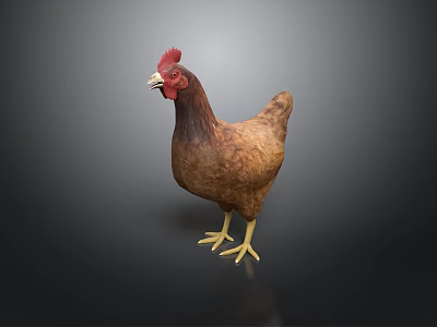Brown Feathered Chicken With Red Comb And Yellow Claws On Dark Background 3d model