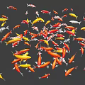 Modern Fish 3d model
