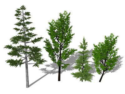 Various Types of Trees Featuring Green Foliage Different Heights and Natural Shapes 3d model