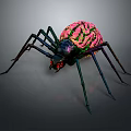 Vibrant Spider Featuring Pink Green Brain Like Body Pattern and Black Colorful Sheen Legs