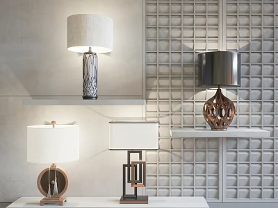 Different Style Table Lamps Featuring Wooden Metal Glass Bases On Shelves With Grid Wall Background 3d model