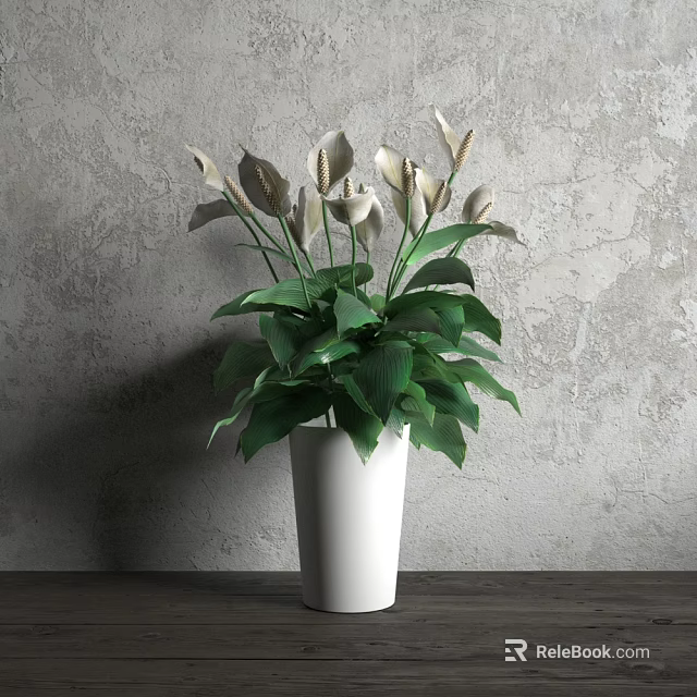 Bonsai Potted Plant with White Flowers and Green Leaves in White Vase on Wooden Tabletop 3d model 