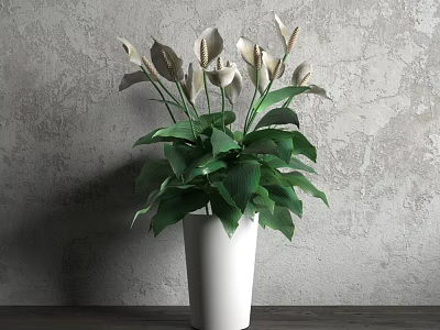 Bonsai Potted Plant with White Flowers and Green Leaves in White Vase on Wooden Tabletop 3d model
