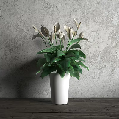 Bonsai Potted Plant with White Flowers and Green Leaves in White Vase on Wooden Tabletop 3d model