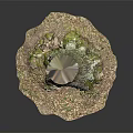 Natural Rustic Wooden Stump Decorative Piece With Stone Base Hole Moss And Leaves