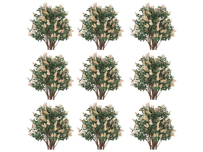 green plant tree 3d model
