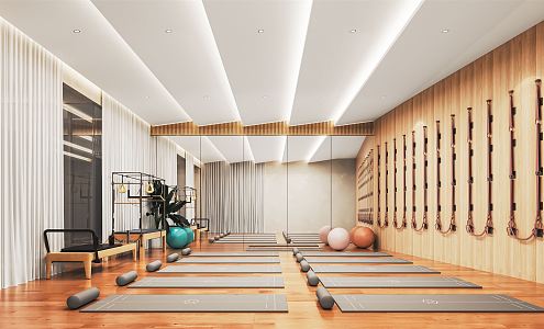 Modern Yoga Studio Yoga Studio Fitness Room Exercise Room Gym Pilates Exercise Room Yoga Mat Hanging Rope 3d model