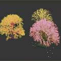 Three Varied Trees With Green Foliage Red Leaves And Leafless Branches On Dark Background