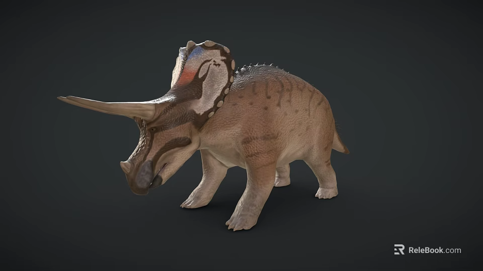 Realistic Triceratops 3D Model With Large Horns Decorative Frill And Textured Body 3d model 