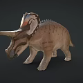 Realistic Triceratops 3D Model With Large Horns Decorative Frill And Textured Body