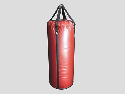 Red Punching Bag Sports Equipment For Boxing Training Home Gym Workout 3d model