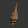 Brownish Orange Conch Spiral Shell With Detailed Texture Shiny Surface Close Up On Dark Background