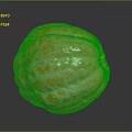 Fresh Peeled Orange Showing Bright Orange Surface With White Stripes On Black Background