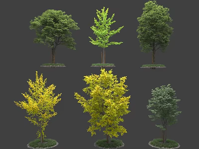 Diverse Arbor Trees With Green Yellow Foliage And Varied Crowns For Landscape Design 3d model