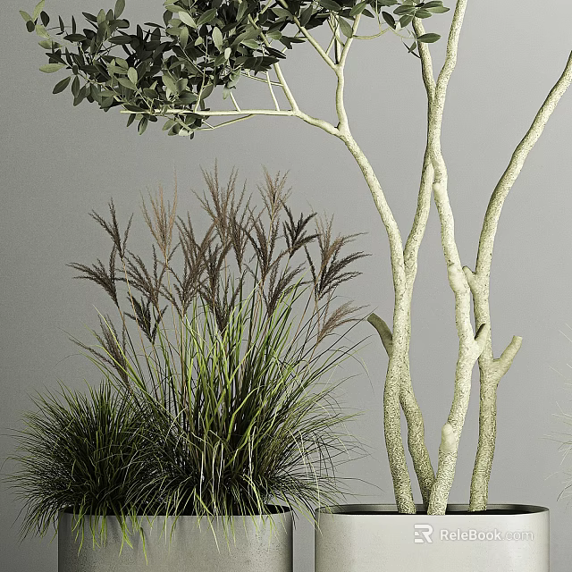 Bonsai Potted Plants With Lush Tall Grass White Textured Branches And Fresh Green Leaves 3d model 