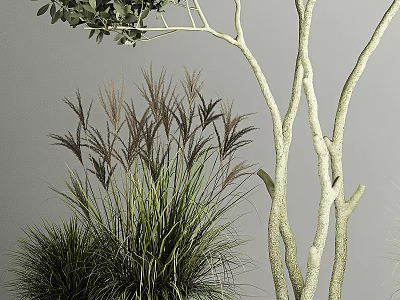 Bonsai Potted Plants With Lush Tall Grass White Textured Branches And Fresh Green Leaves 3d model
