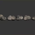 Natural Stone And Wood Decorative Pieces Arranged In A Line On Dark Reflective Surface