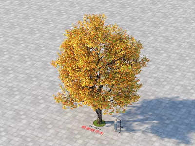 Arbor With Yellow Leaves Standing On Gray Stone Pavement With People Under 3d model