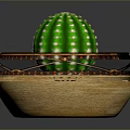 Green Cactus With White Spots Placed In Bowl Shaped Pot With Brown Decoration And Soil