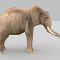 Realistic 3D Reptile Model With Brown Skin Standing On Gray Background