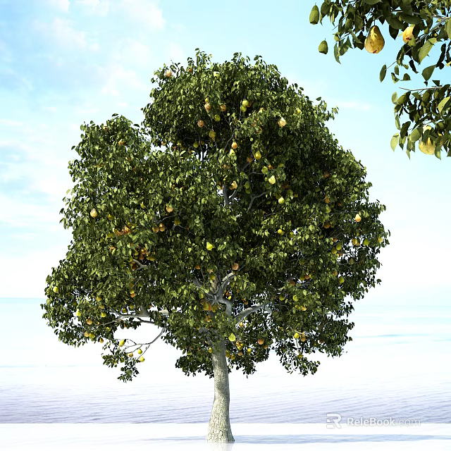 Lush Green Arbor With Dense Foliage And Abundant Yellow Fruits Against Blue Sky 3d model 