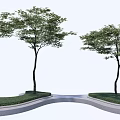 Curved Tree Pits With Green Grass And Trees In Modern Urban Landscape Design
