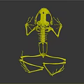 Dynamic Frog Skeleton in Leaping Pose with Detailed Structure against Dark Background