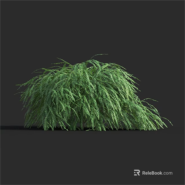 Lush Green Shrub With Dense Hanging Foliage In 3D Rendering 3d model 