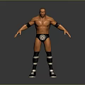 3D Model Of Shirtless Wrestler In Standing Pose With Black Armbands Wrestling Trunks Striped Socks