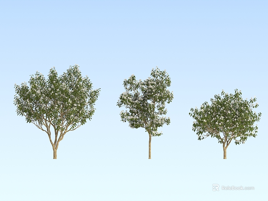 Three Arbor Trees With Lush Green Foliage And Brown Trunks Against Light Blue Sky 3d model 