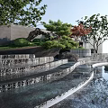Modern Garden Ornament with Stepped Water Feature Green Plants and Reflected Water Surface