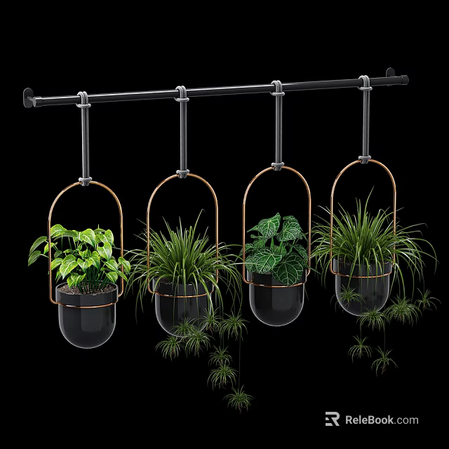 Four Hanging Glass Planters with Metal Frames Holding Various Green Foliage Plants for Indoor Decor 3d model 