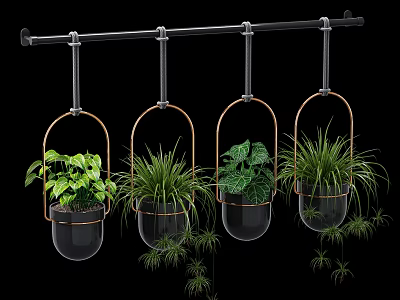 Four Hanging Glass Planters with Metal Frames Holding Various Green Foliage Plants for Indoor Decor 3d model