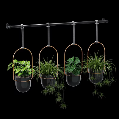Four Hanging Glass Planters with Metal Frames Holding Various Green Foliage Plants for Indoor Decor 3d model