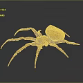 Brown Spider With Large Body And Textured Legs On Gray Gradient Background