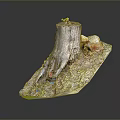 Wooden Stone Decorative Art With Tree Stump Small Sprout And Mossy Stones