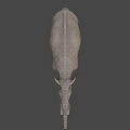 Realistic Gray Elephant 3D Model With Long Trunk Tusks And Detailed Skin Texture