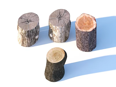 Natural Wooden Tree Stumps In Various Sizes With Cut Sections And Growth Rings 3d model