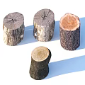 Natural Wooden Tree Stumps In Various Sizes With Cut Sections And Growth Rings