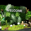Welcome Natural Decor Scene With Lush Green Plants White Spheres And Stones