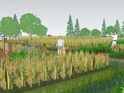 Scenic Rice Field Landscape With Green Trees People Hammock And Wooden Structures 3d model