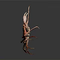 Vibrant Red Crab With Long Legs And Claws On Dark Background