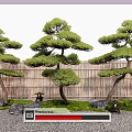 Traditional Japanese Garden Featuring Sculpted Pine Trees Bamboo Fence And Stone Lanterns